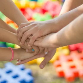immagine per Curriculo Verticale