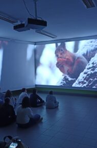 immagine per Open day IC2 Alatri 